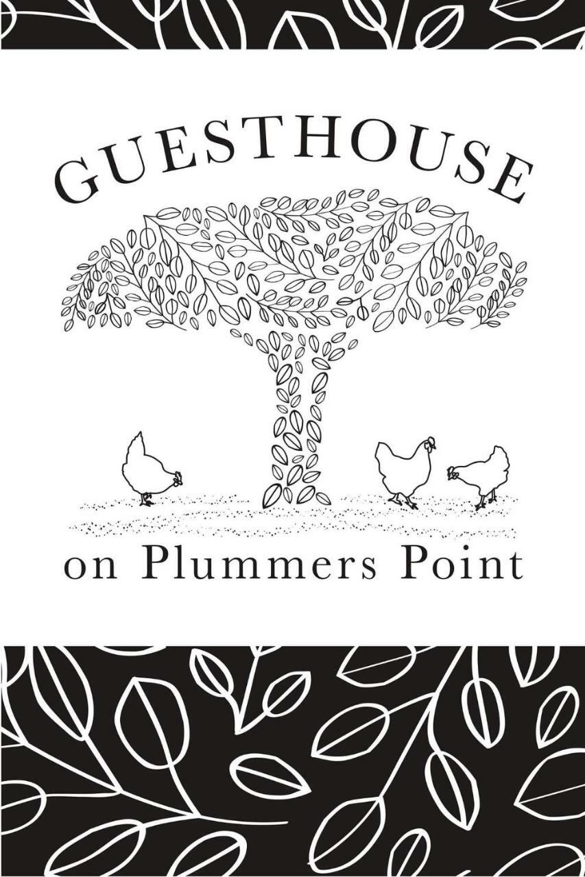 Guest House On Plummers Point Tauranga Dış mekan fotoğraf
